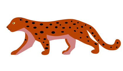 Yellow leopard with black spots on white background. Vector illustration.