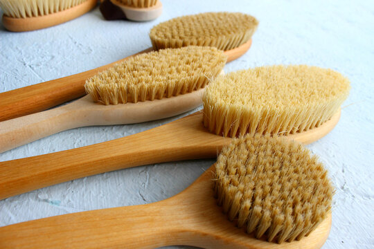 รูปภาพBristles เลือกดูภาพถ่ายสต็อก เวกเตอร์ และวิดีโอ588 229 Adobe