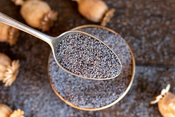 Poppy seedson a spoon with poppy pods in the background