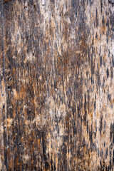 shabby weathered color door wood texture graphic resource