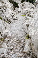 Premuzic trail on Velebit mountain landscape