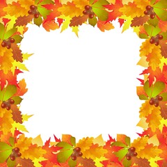 autumn leaves, background, illustration, vector,
