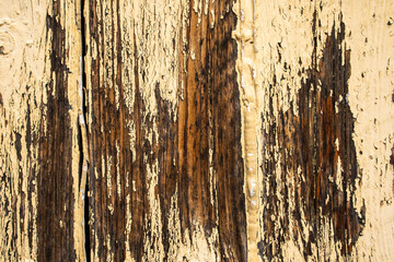 shabby beige door wood texture graphic resource