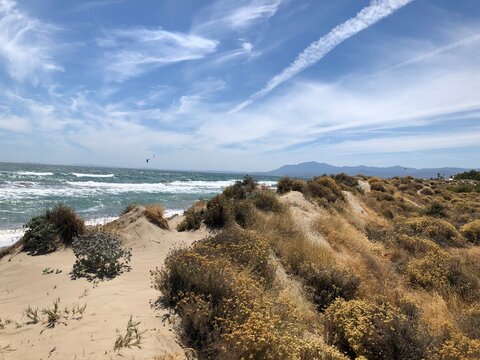 beach and sea