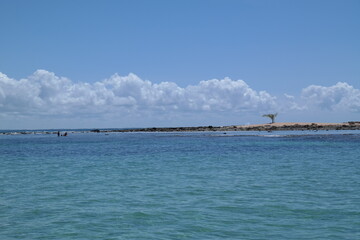 Obraz premium SAMSUNG CSC