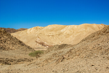 waste land empty space landscape global warming outdoor environment dirt ground hill everywhere