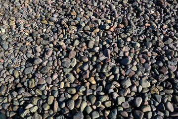 Pebble Footpath Closeup View on a Sunny Day