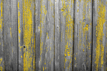Fototapeta premium wood panels used as background
