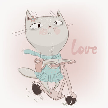 cute lovely cat on schooter