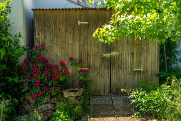 old wooden shed in the sun with flowering plants and trees in the foreground