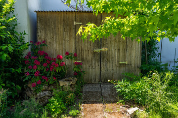 old wooden shed in the sun with flowering plants and trees in the foreground
