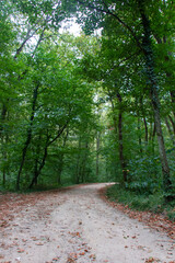 Izmit Ormanya Living area