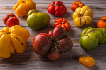 Trendy ugly ripe organic tomatoes on wooden background, selective focus, close up