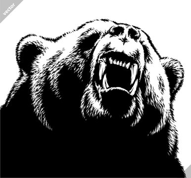 black and white linear draw bear vector illustration
