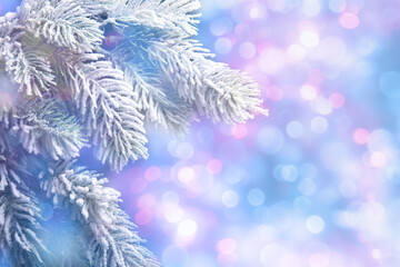 Christmas background with frosty fir tree branches over defocused holiday lights. Xmas and New Year concept
