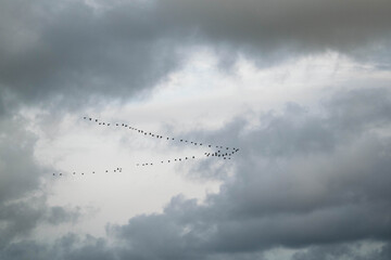 clouds in the sky