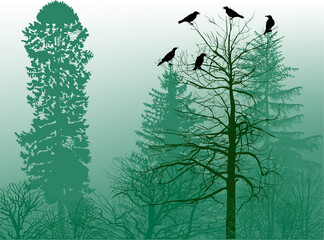 five crows on bare tree in green forest