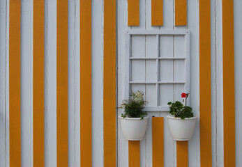Janela falsa sem vidros numa parede as riscas verticais amarelas com dois vasos e uma flor vermelha