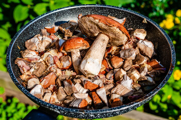 half-dyed slender Caesar mushrooms in the forest 
