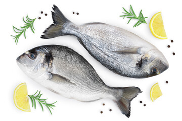 Fish dorado isolated on white background with clipping path and full depth of field. Top view. Flat lay