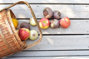 Freshly harvested fall vegetables from home grown summer garden in autumn ready for preparing healthy lifestyle meals