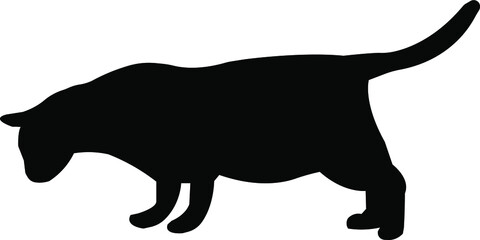 silhouette of a cat looking down