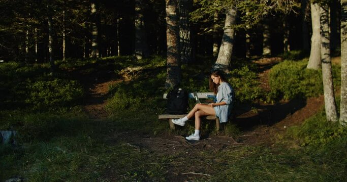 Woman tourist stops in the woods to work on a laptop. Sits down on a bench and types a message. Against the background of the forest at sunset. High quality 4k footage