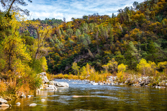 Image of fall colors on the South Yuba River
