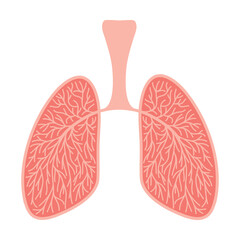 Colored illustration of human lungs. Freehand drawing icon clipart medicine, healthy human lungs