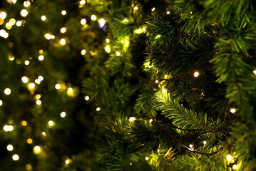 Fototapeta na wymiar Christmas tree on blurred background