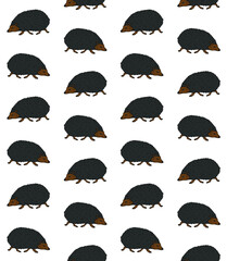 Vector seamless pattern of colored hand drawn doodle sketch hedgehog isolated on white background