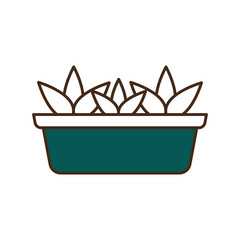 flowers inside pot line and fill style icon vector design