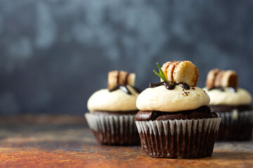 Chocolate cupcakes with butter cream. Sweet dessert, bakery, pastry dessert. Copy space.