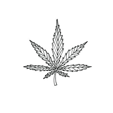 Vector hand drawn doodle sketch hemp cannabis isolated on white background