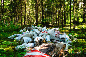 pile of garbage in the forest