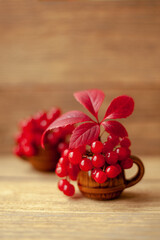 Autumn composition. Red viburnum berries and a red leaf in a clay mug. Selected sharpness