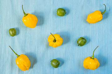 Green mini kiwi and yellow habanero on a blue background
