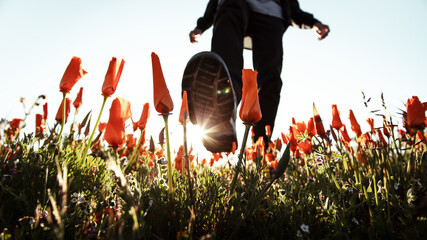 person in a group of flowers