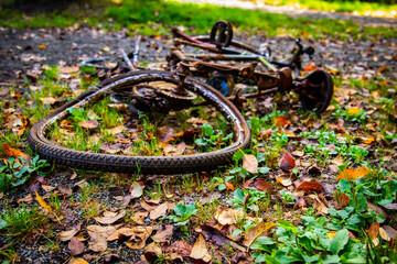 Rusted bike