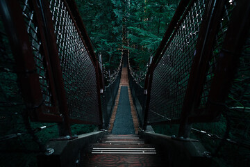 Bridge in the forest in Vancouver