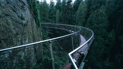 bridge in the forest of Vancouver