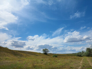 Fototapeta premium Rural landscape of blue sky in white clouds in the steppe near Odessa, hot summer day