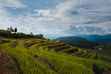 Fototapeta na wymiar Pa Bong Piang Rice Terraces in Chiangmai , Thailand
