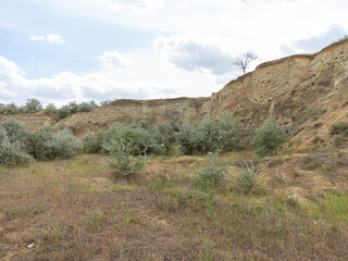 Bird colonies. Canyon wall slice with bird nests Golden bee-eater. Birds do not like loneliness and nest in colonies they build small caves quite close to each other in one steep wall.