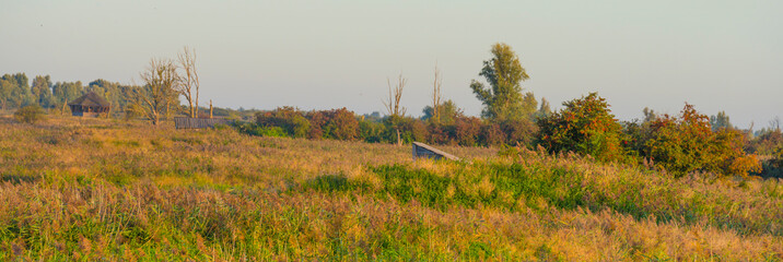 Wooden hut in wetland at sunrise under a clear sky in an early morning at fall, Almere, Flevoland, The Netherlands, September 20, 2020
