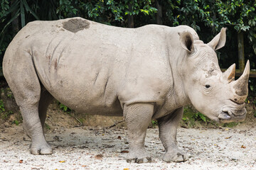 Naklejka premium Taiping lake district and Zoo
