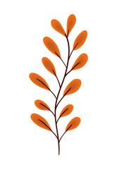 Isolated orange leaf vector design