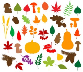 Autumn nature silhouettes with vector fallen leaves, harvest vegetables, fruits and mushrooms. Pumpkins, maple, oak and chestnut tree foliage, acorn, pinecones, wheat, rowanberry and viburnum