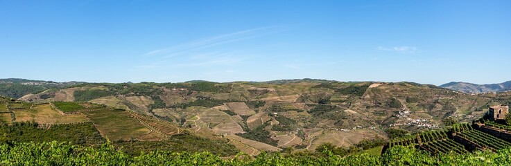Fototapeta na wymiar Vineyards in the Douro Natural Park, panoramic view