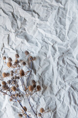dried flowers lie on gray crumpled paper background
